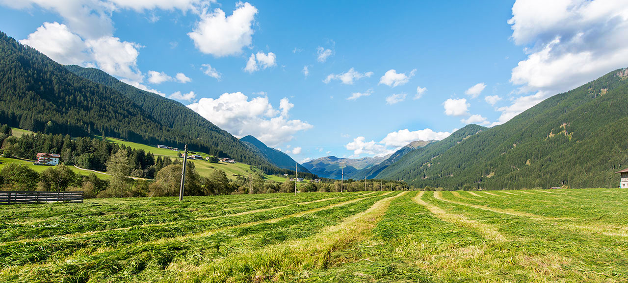 The Val Casies surrounded by nature