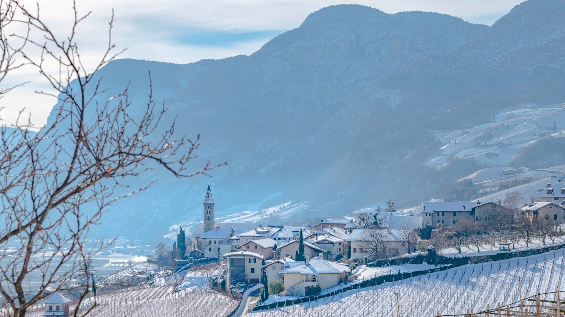 Panoramic view in Cortaccia