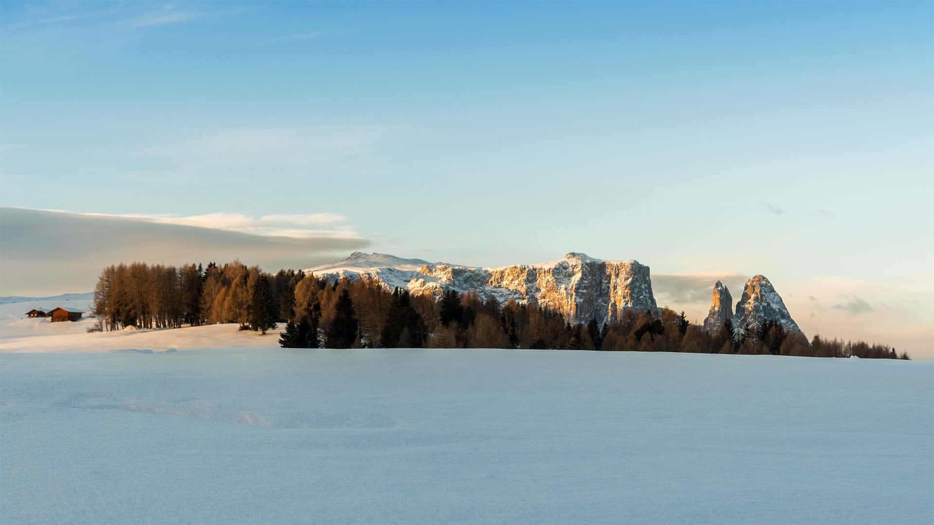 The Sciliar massif towers over the plateau with its impressive rock walls