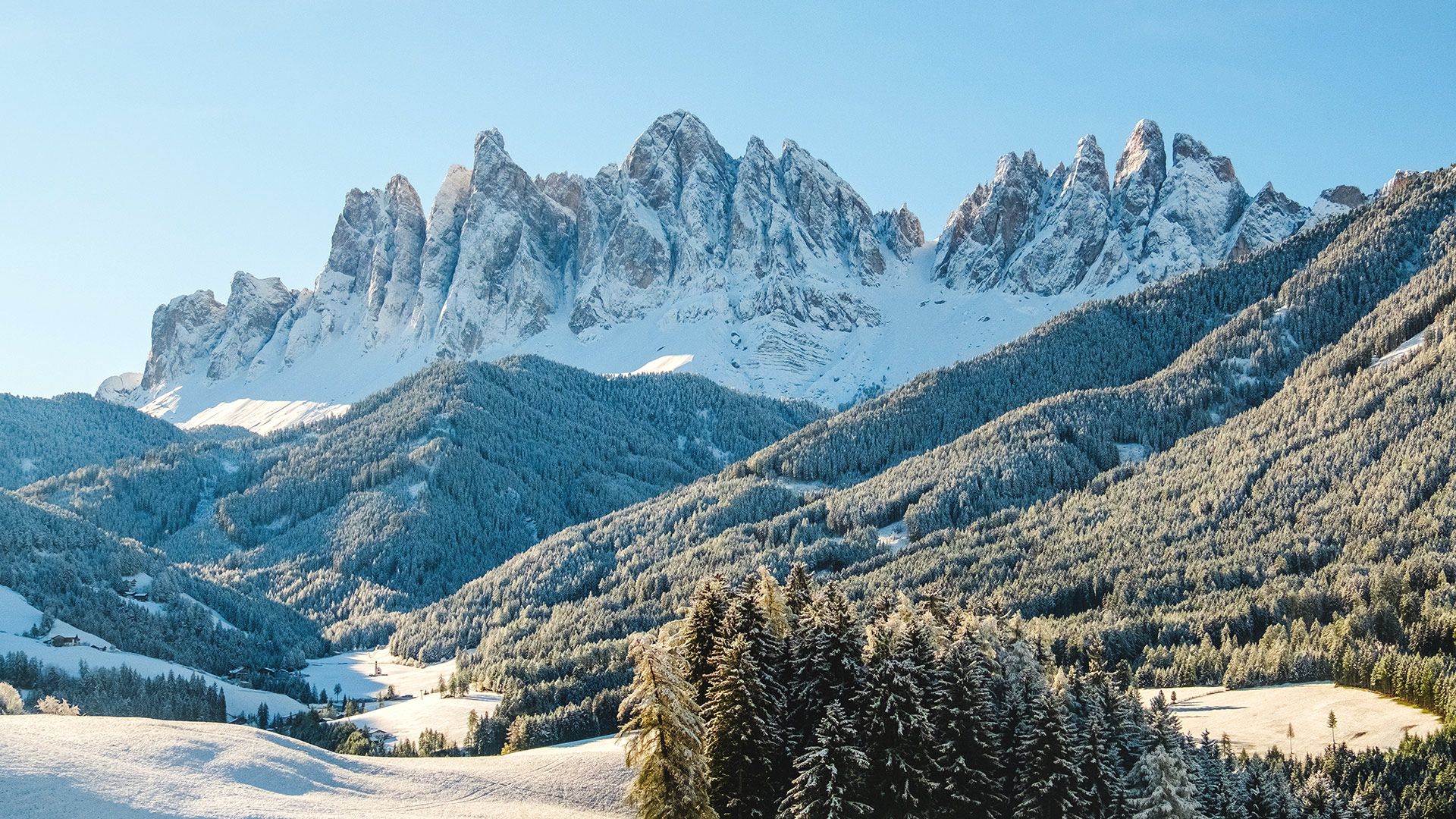 Panoramic view of Val di Funes with the Odle mountains in the background and a flower-filled meadow
