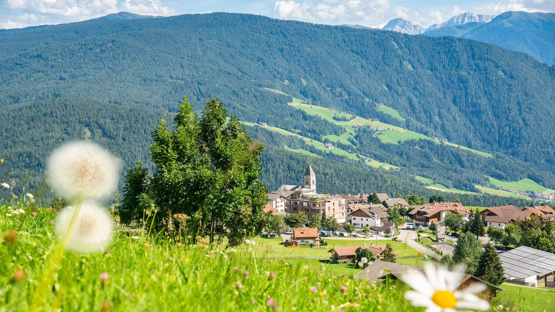 Maranza - Gitschberg Jochtal