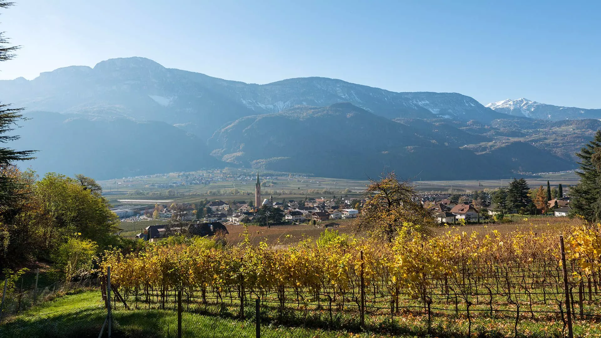 Panoramablick auf den Ort Terlan