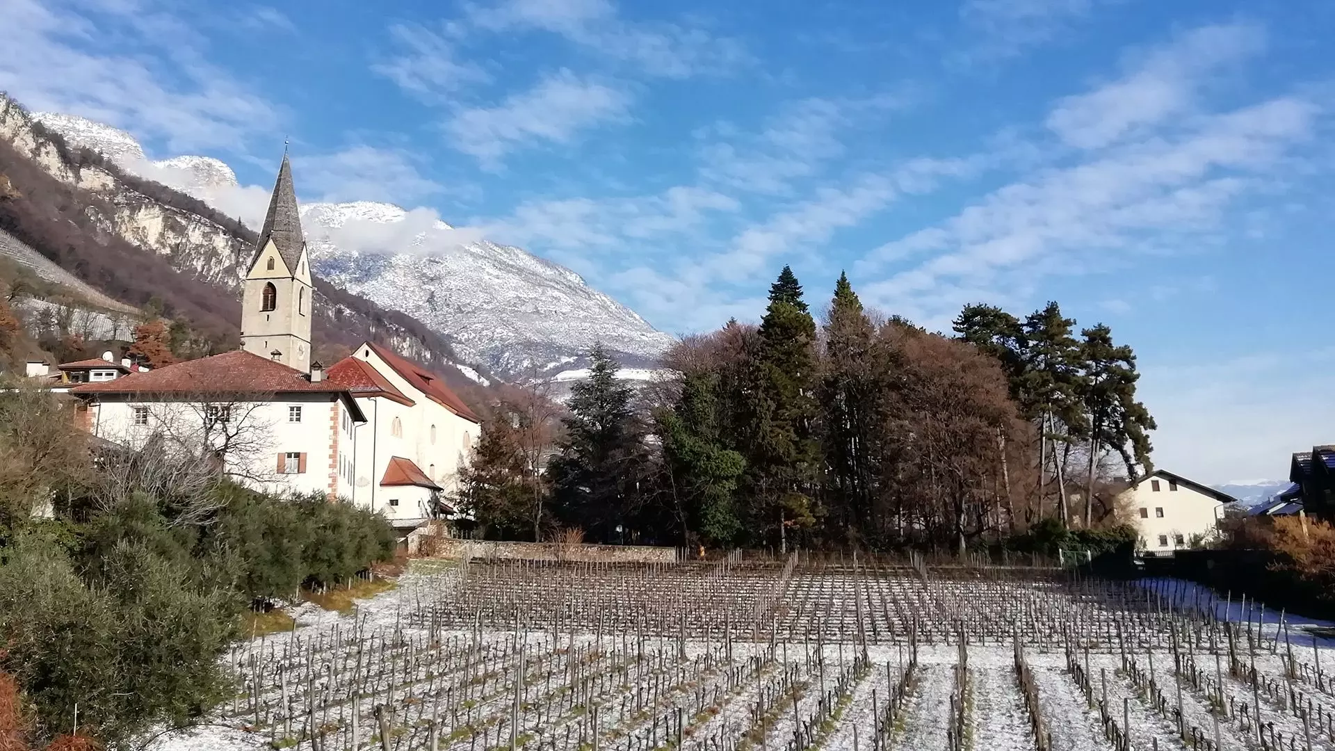 Historische Gasse mit traditionellen Häusern und Rankpflanzen im Ortskern von Margreid