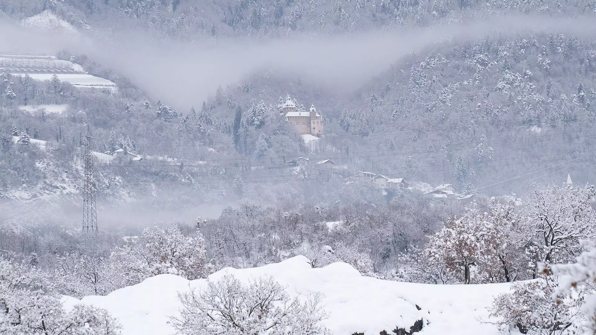 Dorfsplatz mit Kirche und historischen Häusern am Waldrand	