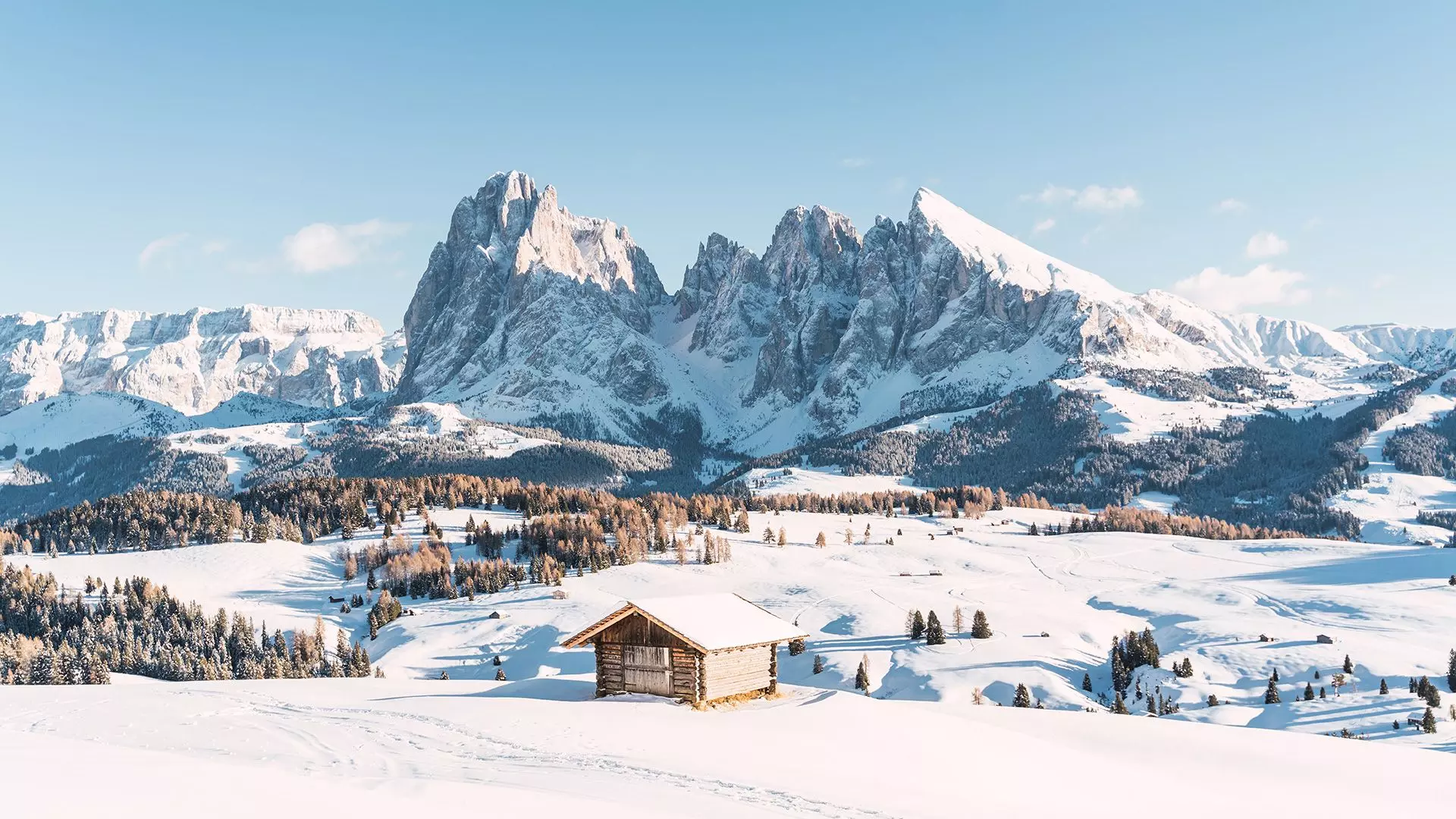 Panoramablick zum Langkofel
