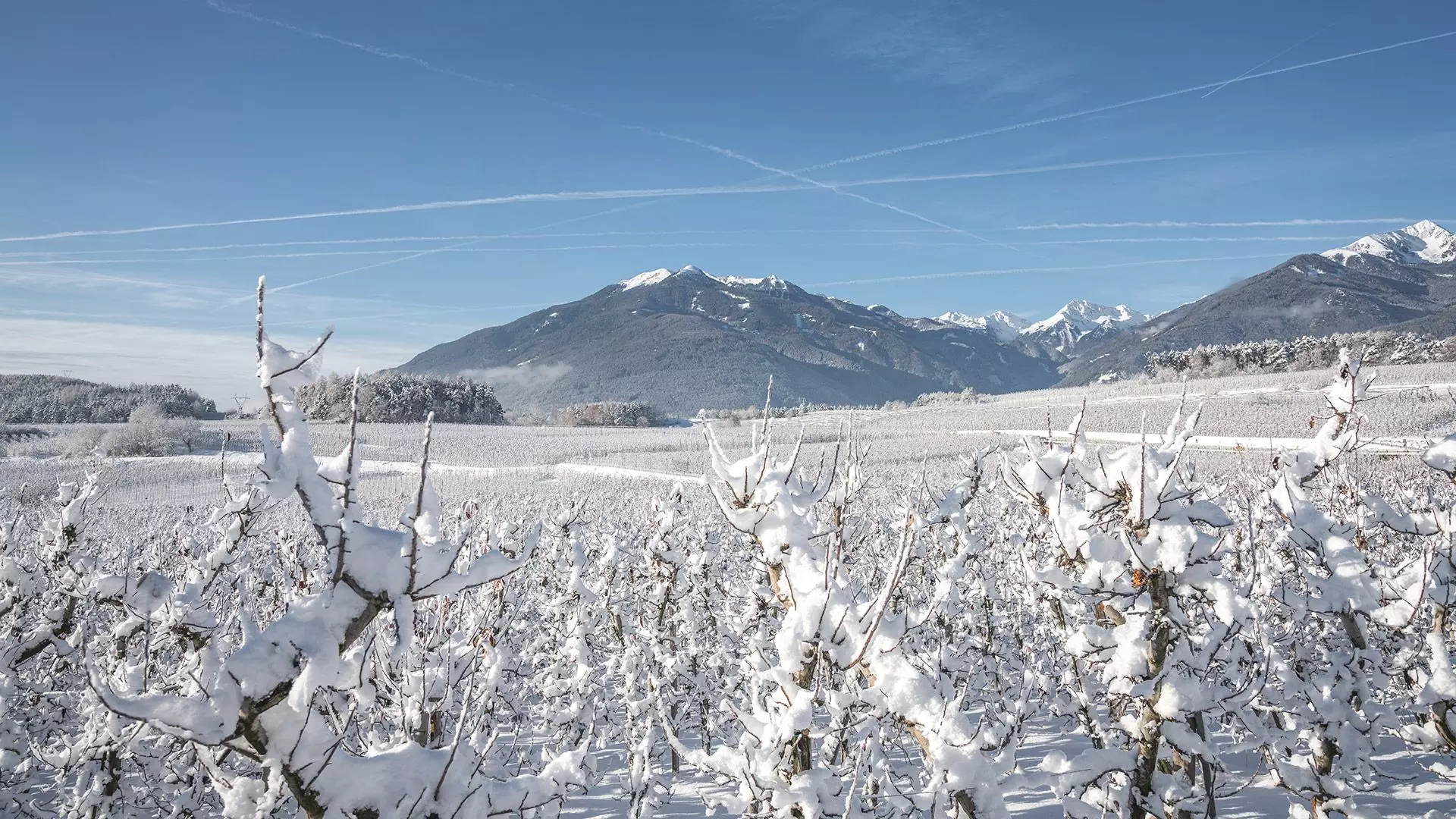 Panoramablick auf die Geislergruppe