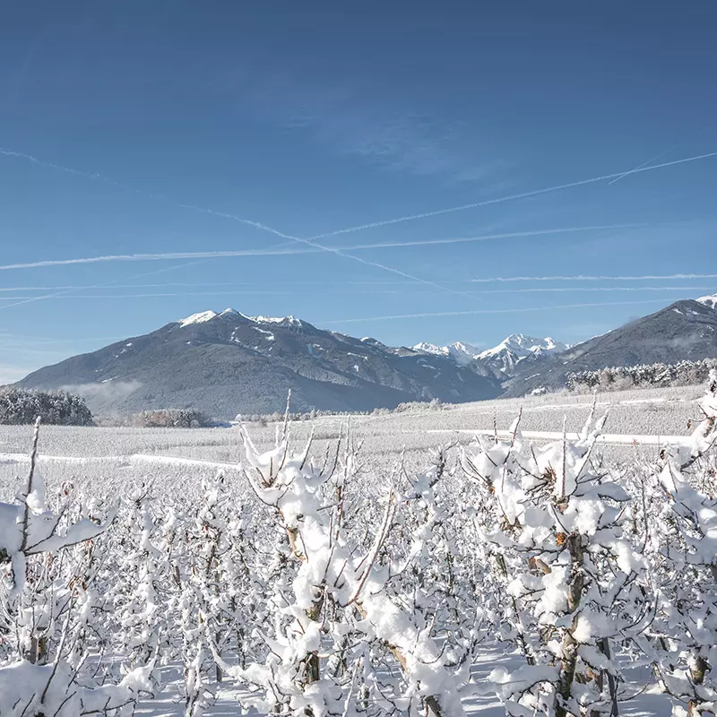 Valle Isarco Gruppo delle Odle