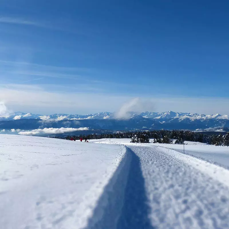 Skifahren im Skigebiet Rittner Horn
