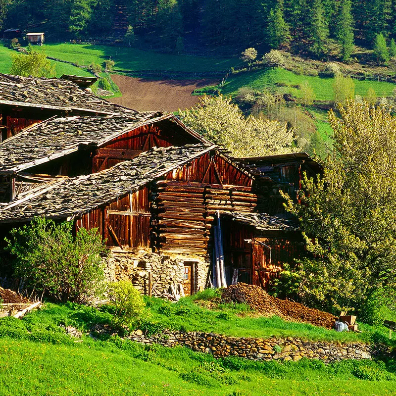 Die Höfe der Bajuwaren