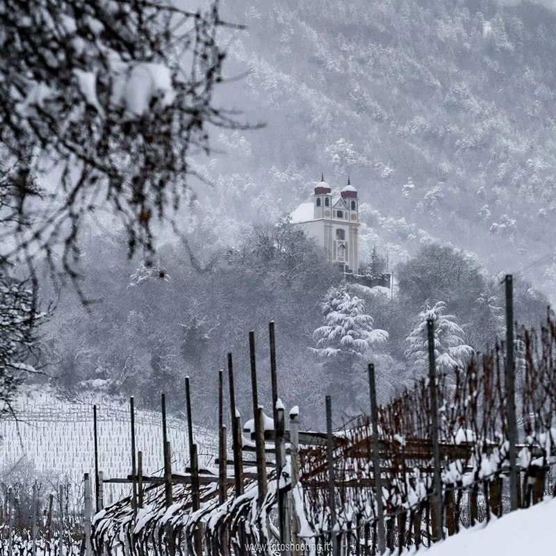 Appiano sulla strada del vino