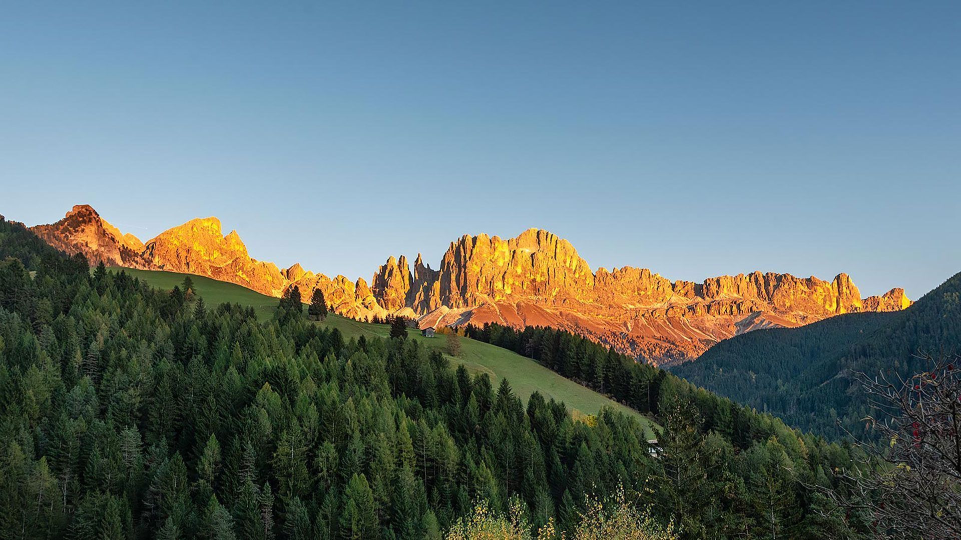 View of the Rosengarten