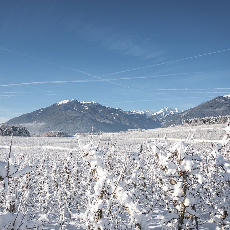 Isarco Valley Odle Group