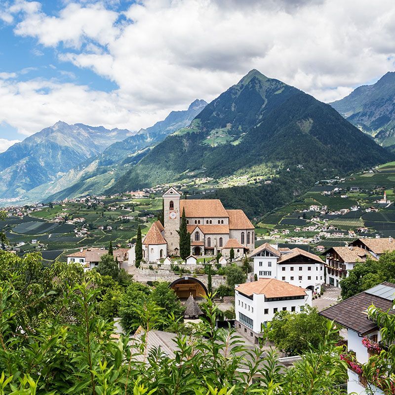 Traditional Festivals - Scena