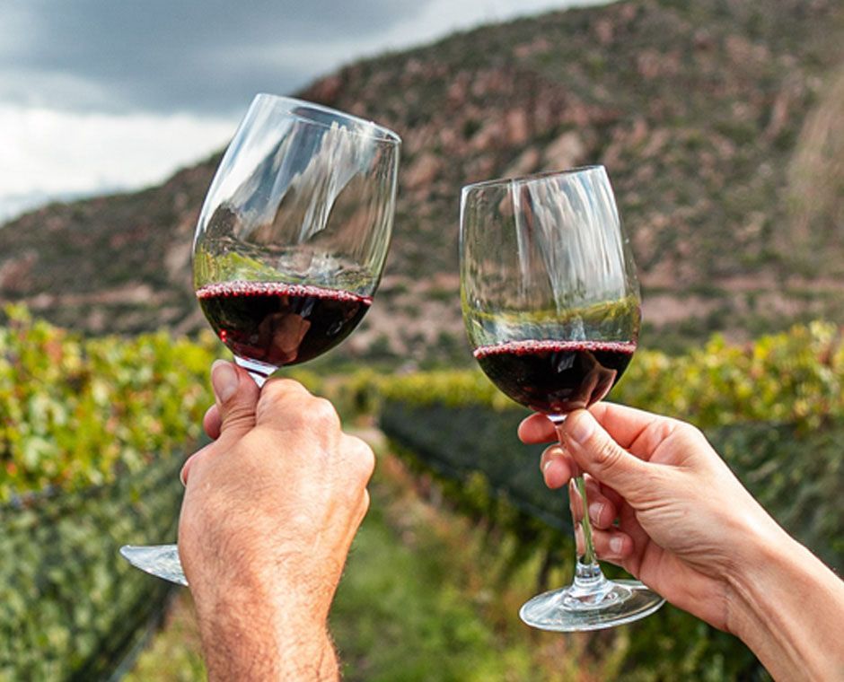 Wines of South Tyrol