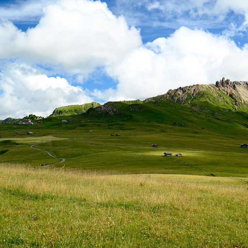 Gruppo di Tessa Nature Park