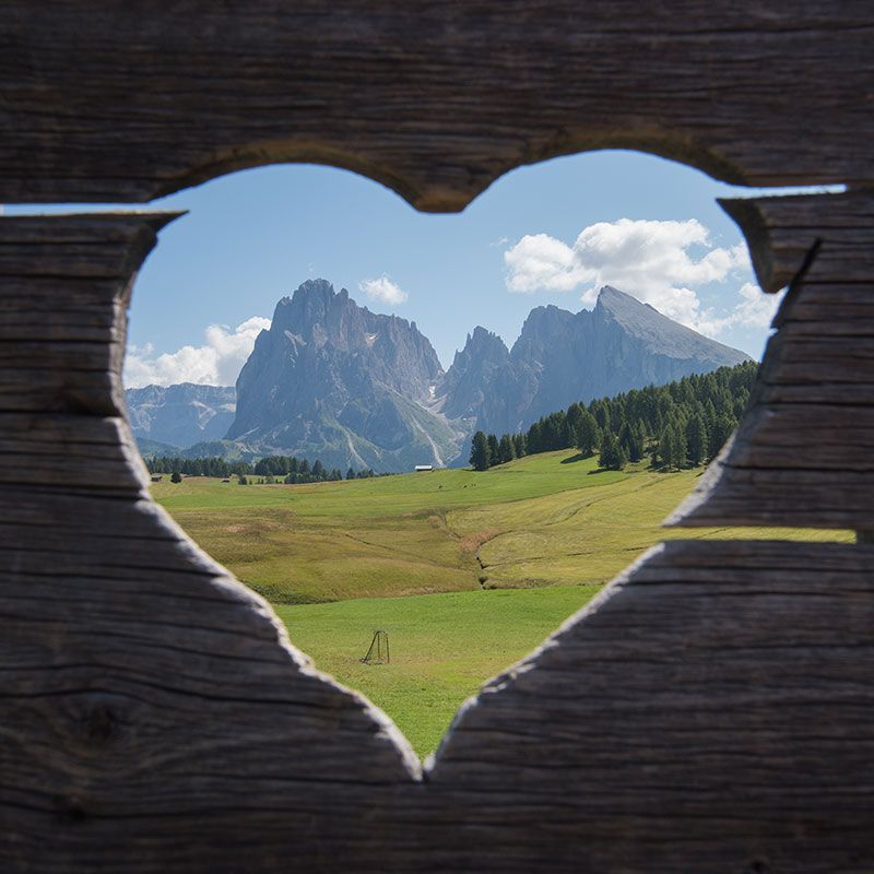 Travels in Italy &amp; History