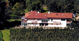 In mitten der Weinberge in Kaltern in Südtirol